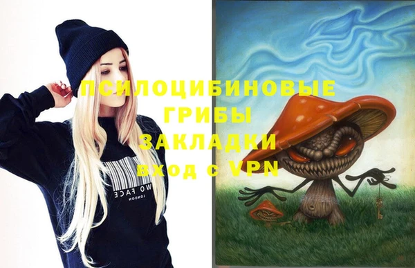 скорость Богданович