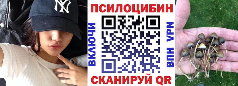 где можно купить наркотик  Назарово  Галлюциногенные грибы GOLDEN TEACHER 